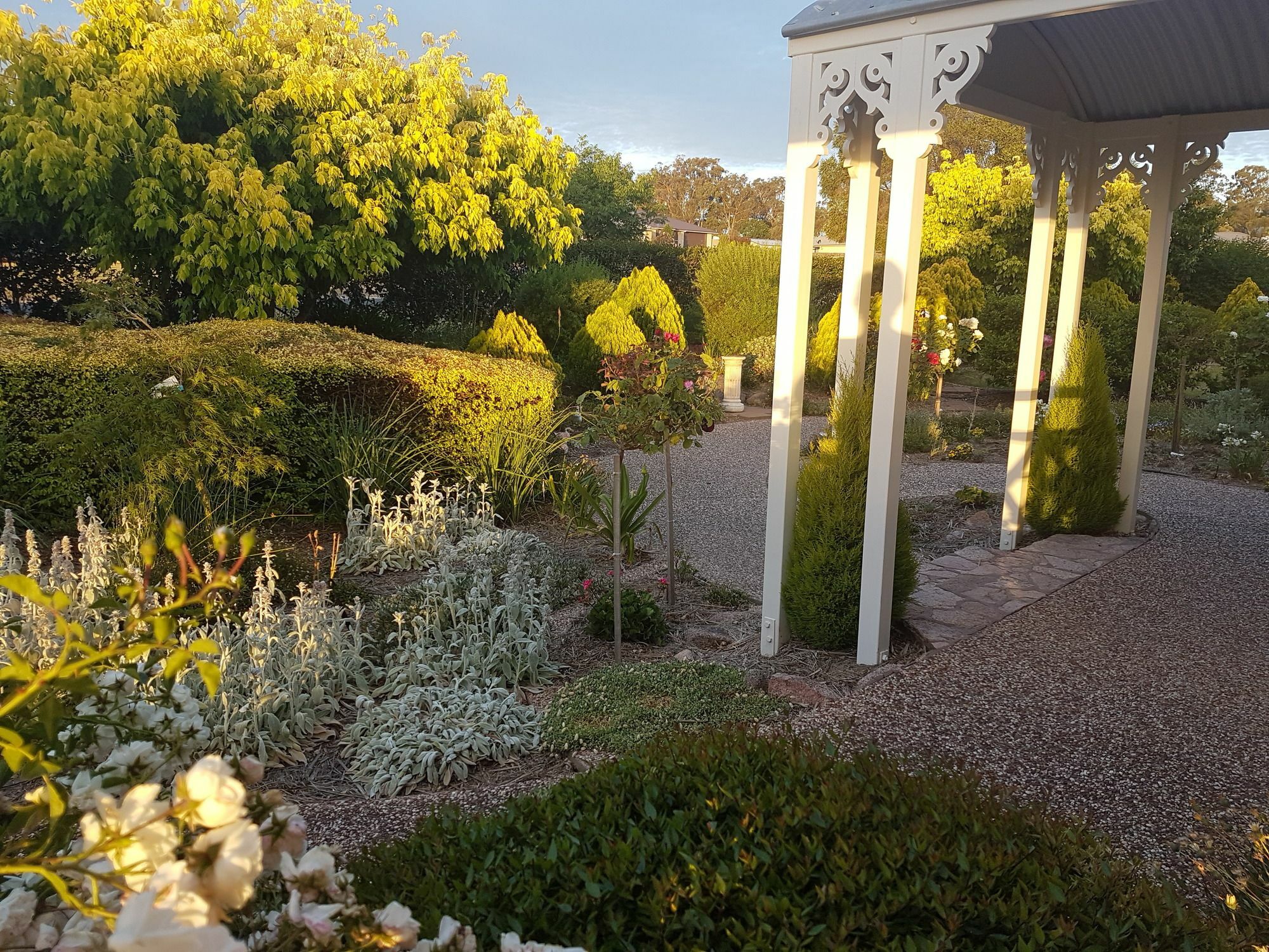 Bed and Breakfast Grovely House à Stanthorpe Extérieur photo